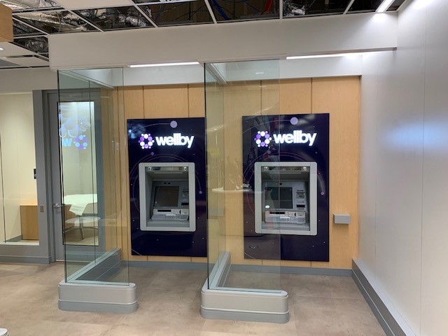 The Expert Anywhere Approach: A Model for Service Delivery